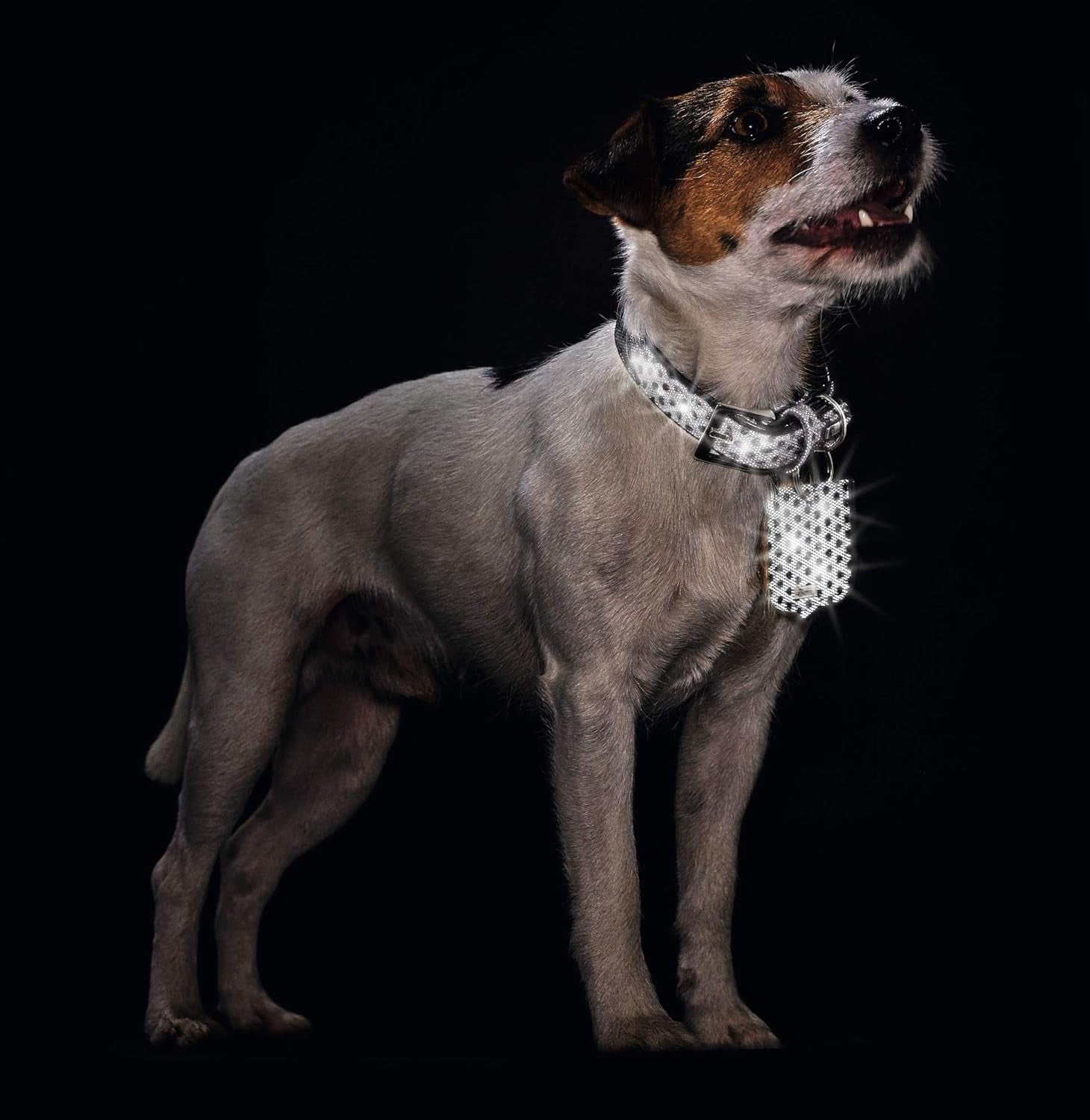 60 CM. Antkaklis Hunter H65366