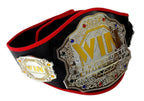 Boxing set, bag, gloves, belt