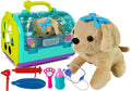 Veterinaro rinkinys su šuniuku ir transportavimo dėže