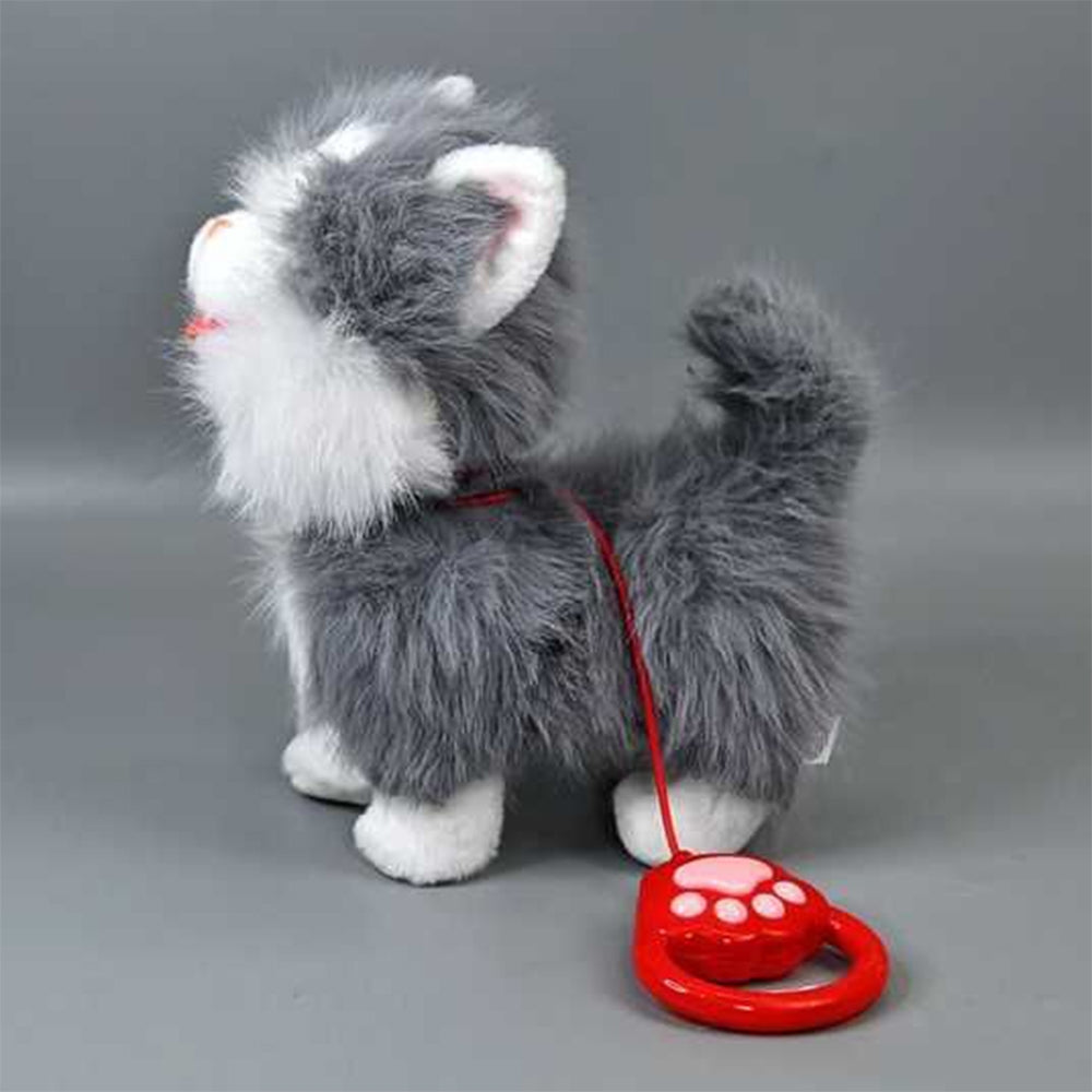 Interaktyvus kačiukas