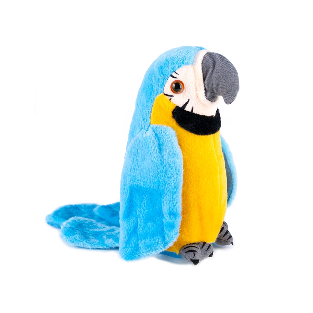 Pliušinė kalbanti papūga -atkartojanti garsus