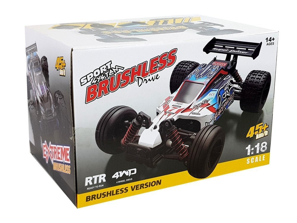 Nuotoliniu būdu valdomas ralio automobilis 1:18, mėlynas, ENOZE 9302E, 45 km/h