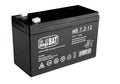 AGM gelinis akumuliatorius automobiliui 12V 7.2Ah