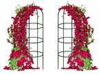 Sodo arka (obeliskas)