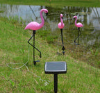 LED saulės sodo lempos – flamingas