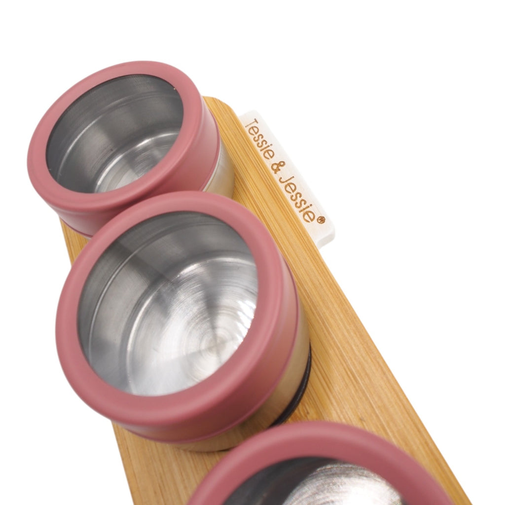 Magnetinė prieskoninė (4 indeliai)