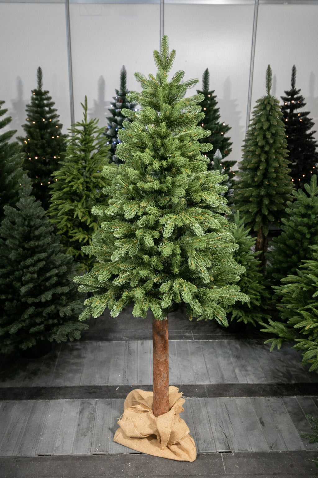 180 cm Kalėdinė eglutė „Skandinaviškas kėnis“