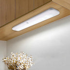 LED šviestuvas