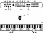Pianinas Su Mikrofonu