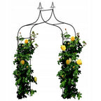 Sodo pergola augalams 150 × 37 × 240 cm, metalinė, juoda
