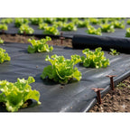 Agroplėvelė nuo piktžolių 1 x 10 m, juoda, 50 g/m²