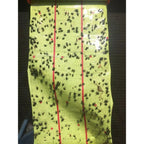 Lipni vabzdžių gaudyklė (ritė) 25 cm x 4 m