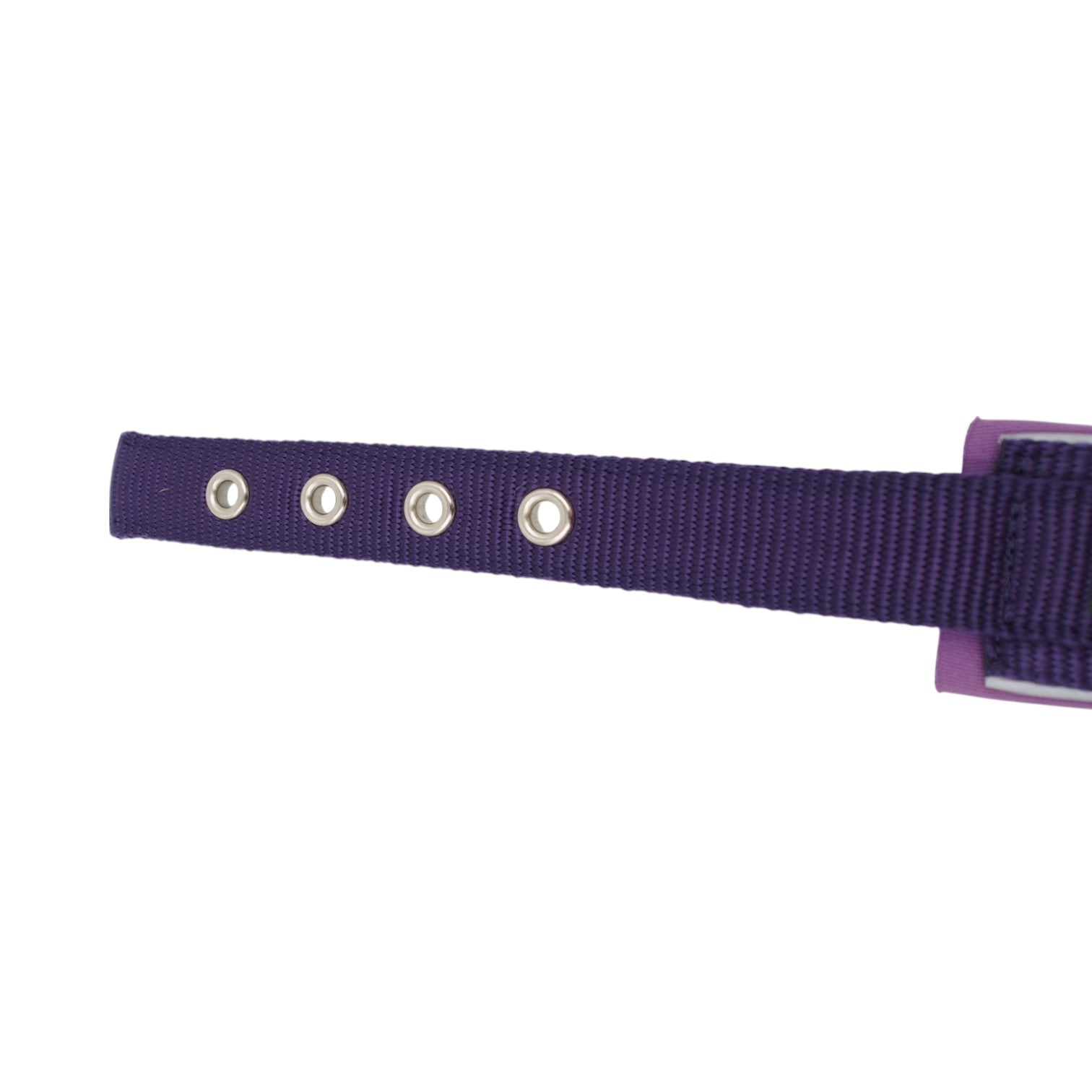 HUNTER violetinis nailoninis šunų antkaklis, 45 cm