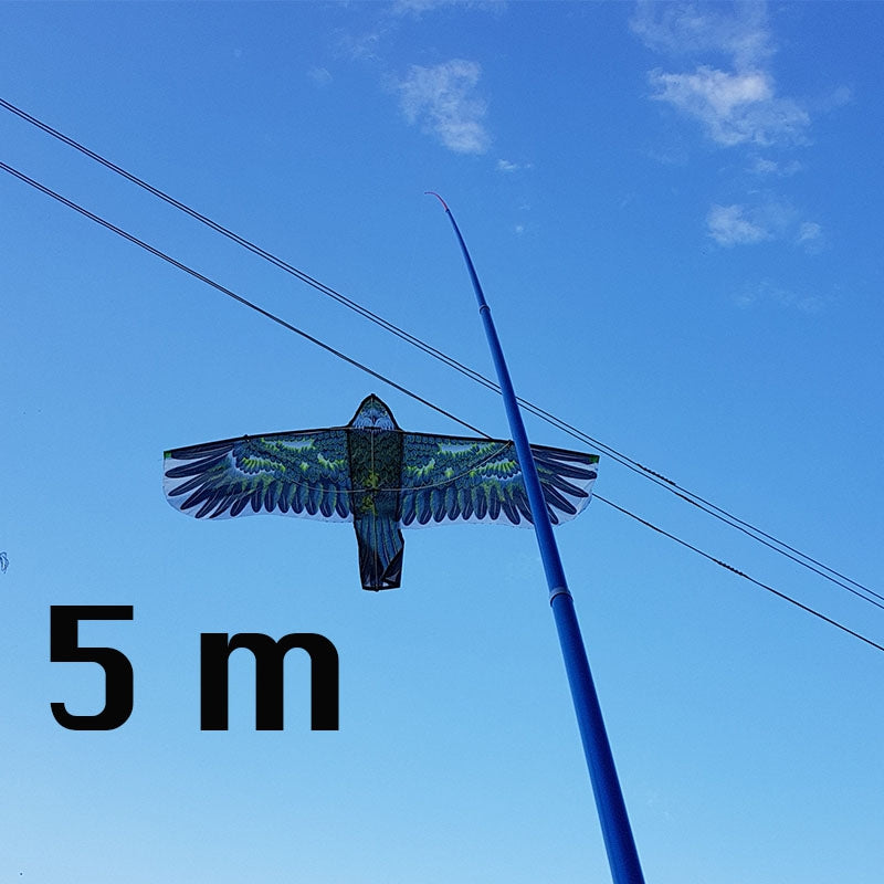 Kotas 5M Aitvarui