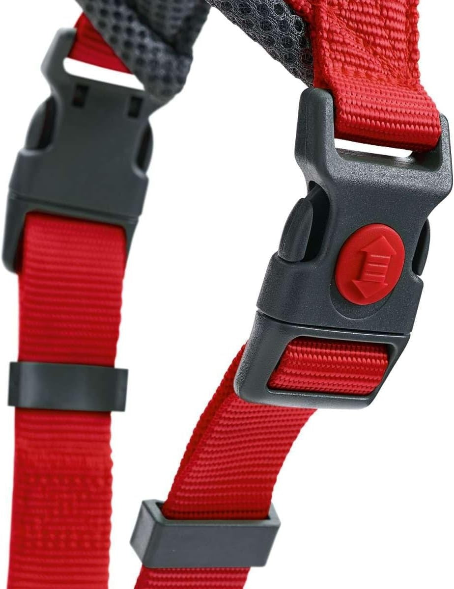 M Petnešos Hunter 68112