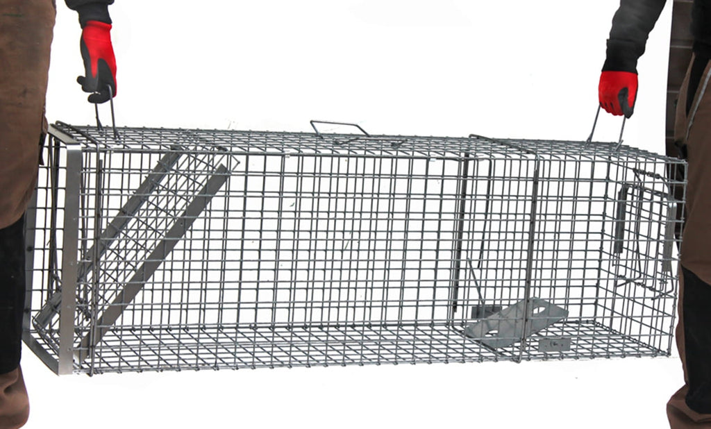Narvas spąstai 140x34x42 su papildoma kamera