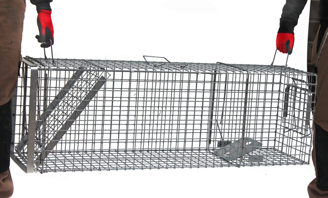 Narvas spąstai 140x34x42 su papildoma kamera