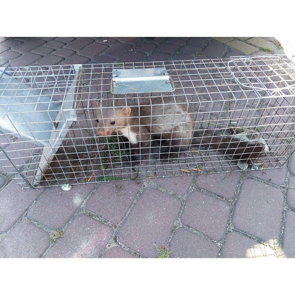 Narvas spąstai 82X20X27