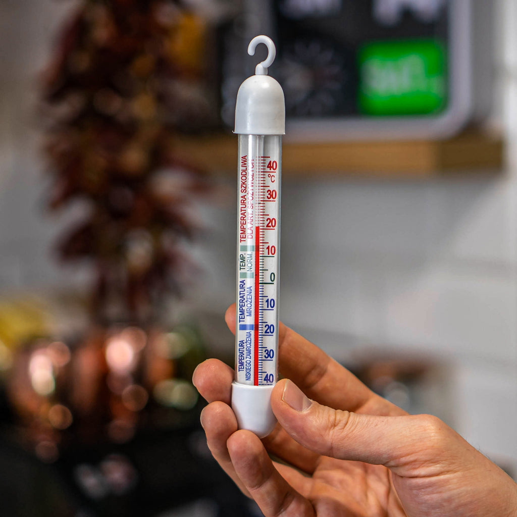 Termometras šaldytuvams ir šaldikliams (-50°C iki +40°C)