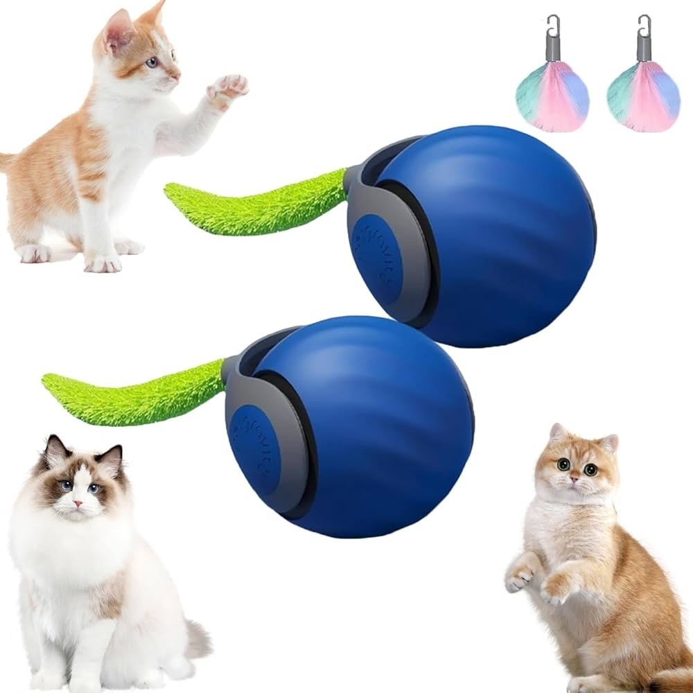 USB žaislas katei